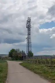 294684