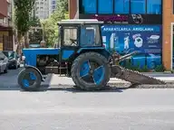 295038