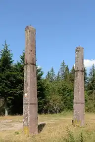 295178