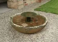 295893