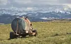296161