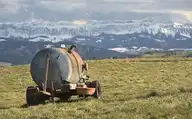 296161