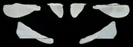 296197