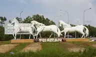 296842