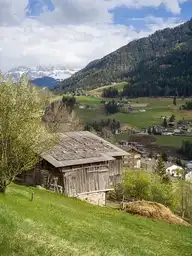 296884