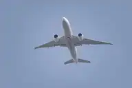 297462