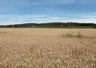 297678