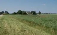 297744