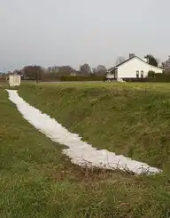 297770
