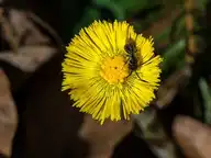 297814