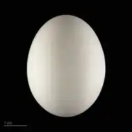 298149