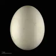 298150