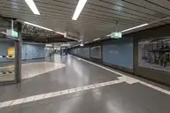 298393