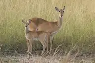 298572