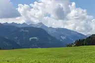 298733