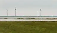 298774