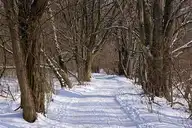 298840