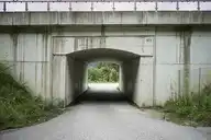 299733