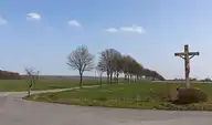 300013