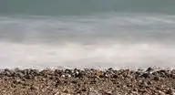 300053
