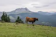 300187