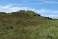 300618
