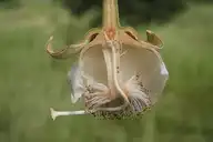 3009