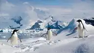 3013