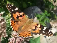 301414