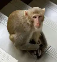 30160