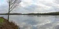 301776