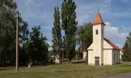 302316