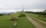 302368