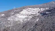 302722