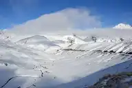 302726
