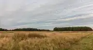 302766