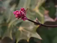 303283