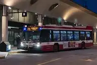 303383