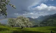 303638