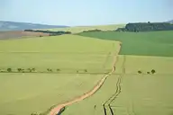 303959