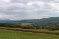 304196