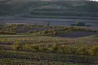 304256