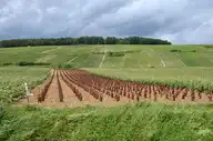 304905