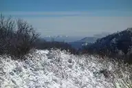 305070