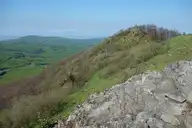 305077