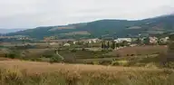 306292