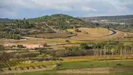 306497