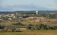 306498
