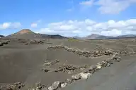 306682