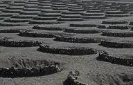 306686